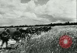 Image of German motorized columns Russia, 1942, second 5 stock footage video 65675020602