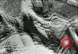 Image of German motorized columns Russia, 1942, second 16 stock footage video 65675020602