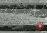 Immagine di Trattori e aratri Francia, 1942, secondo 15 filmato di repertorio 65675020604