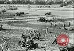 Immagine di Trattori e aratri Francia, 1942, secondo 28 filmato di repertorio 65675020604