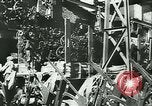 Immagine di Trattori e aratri Francia, 1942, secondo 49 filmato di repertorio 65675020604