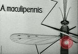Image of German laboratory mosquito experiments Berlin Germany, 1943, second 12 stock footage video 65675020606