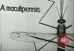 Image of German laboratory mosquito experiments Berlin Germany, 1943, second 13 stock footage video 65675020606