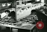 Image of German laboratory mosquito experiments Berlin Germany, 1943, second 25 stock footage video 65675020606