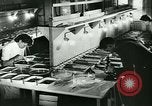 Image of German laboratory mosquito experiments Berlin Germany, 1943, second 26 stock footage video 65675020606