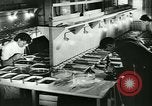 Image of German laboratory mosquito experiments Berlin Germany, 1943, second 27 stock footage video 65675020606