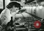 Image of German laboratory mosquito experiments Berlin Germany, 1943, second 30 stock footage video 65675020606