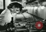 Image of German laboratory mosquito experiments Berlin Germany, 1943, second 31 stock footage video 65675020606