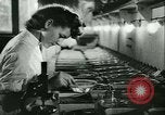 Image of German laboratory mosquito experiments Berlin Germany, 1943, second 33 stock footage video 65675020606