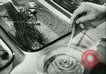 Image of German laboratory mosquito experiments Berlin Germany, 1943, second 35 stock footage video 65675020606