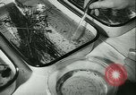 Image of German laboratory mosquito experiments Berlin Germany, 1943, second 37 stock footage video 65675020606