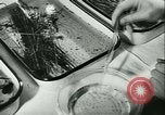Image of German laboratory mosquito experiments Berlin Germany, 1943, second 38 stock footage video 65675020606