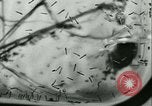 Image of German laboratory mosquito experiments Berlin Germany, 1943, second 42 stock footage video 65675020606