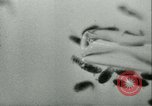 Image of German laboratory mosquito experiments Berlin Germany, 1943, second 44 stock footage video 65675020606