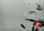 Image of German laboratory mosquito experiments Berlin Germany, 1943, second 45 stock footage video 65675020606
