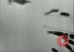 Image of German laboratory mosquito experiments Berlin Germany, 1943, second 46 stock footage video 65675020606