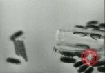 Image of German laboratory mosquito experiments Berlin Germany, 1943, second 48 stock footage video 65675020606
