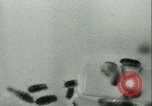 Image of German laboratory mosquito experiments Berlin Germany, 1943, second 50 stock footage video 65675020606