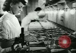 Image of German laboratory mosquito experiments Berlin Germany, 1943, second 51 stock footage video 65675020606