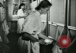 Image of German laboratory mosquito experiments Berlin Germany, 1943, second 54 stock footage video 65675020606