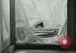 Image of German laboratory mosquito experiments Berlin Germany, 1943, second 58 stock footage video 65675020606