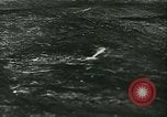 Standbild sowjetische Panzer Ostfront europäischen Theater, 1943, aus Sekunde 23 historischem Filmmaterial Videoclip 65675020612