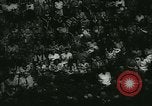 Image of Axis meeting at Debrecen Debrecen Hungary, 1944, second 25 stock footage video 65675020615