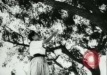 Standbild spanischen Mädchen Spanien, 1944, aus Sekunde 7 historischem Filmmaterial Videoclip 65675020616