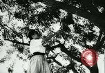 Standbild spanischen Mädchen Spanien, 1944, aus Sekunde 8 historischem Filmmaterial Videoclip 65675020616