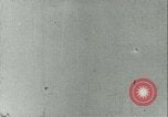 Immagine di German air raid Stalingrad Russia Unione Sovietica, 1943, secondo 17 filmato di repertorio 65675020621