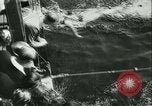 Standbild Schwimmen erfüllen Helsingor Dänemark, 1942, aus Sekunde 20 historischem Filmmaterial Videoclip 65675020631