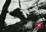 Standbild Col Lucien Lippert Sowjetunion, 1944, aus Sekunde 6 historischem Filmmaterial Videoclip 65675020641