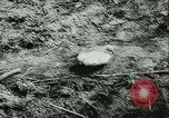 Standbild Col Lucien Lippert Sowjetunion, 1944, aus Sekunde 14 historischem Filmmaterial Videoclip 65675020641