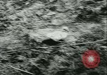 Standbild Col Lucien Lippert Sowjetunion, 1944, aus Sekunde 15 historischem Filmmaterial Videoclip 65675020641