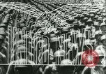 Standbild Winston Churchill Europa, 1944, aus Sekunde 13 historischem Filmmaterial Videoclip 65675020653