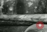 Standbild Befreiung Frankreichs Frankreich, 1944, aus Sekunde 40 historischem Filmmaterial Videoclip 65675020655