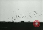 Image of Battle of Arnhem Arnhem Netherlands, 1944, second 40 stock footage video 65675020657