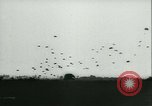 Image of Battle of Arnhem Arnhem Netherlands, 1944, second 41 stock footage video 65675020657