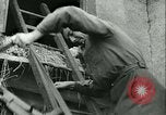 Image des Forces Françaises de l'intérieur Paris France, 1944, de la seconde 20 séquences d'archives historiques vidéo 65675020658