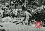 Image Libération de Paris Paris France, 1944, de la seconde 22 séquences d'archives historiques vidéo 65675020659