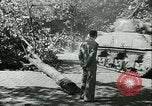 Image Libération de Paris Paris France, 1944, de la seconde 31 séquences d'archives historiques vidéo 65675020659