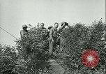 Immagine di Stati Uniti truppe Cherence Le Roussel Francia, 1945, secondo 20 filmato di repertorio 65675020666