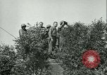 Immagine di Stati Uniti truppe Cherence Le Roussel Francia, 1945, secondo 21 filmato di repertorio 65675020666