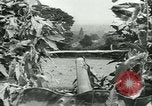 Immagine di Stati Uniti truppe Francia, 1945, secondo 18 filmato di repertorio 65675020667