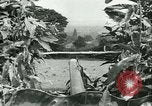 Immagine di Stati Uniti truppe Francia, 1945, secondo 20 filmato di repertorio 65675020667