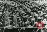 Standbild Schlacht von Caen Caen Normandie Frankreich, 1944, aus Sekunde 13 historischem Filmmaterial Videoclip 65675020669