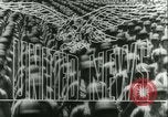 Standbild Schlacht von Caen Caen Normandie Frankreich, 1944, aus Sekunde 14 historischem Filmmaterial Videoclip 65675020669