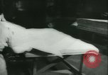 Image of plywood uses in World War 2 United States USA, 1944, second 49 stock footage video 65675020670