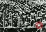 Standbild General Dwight D Eisenhower Paris Frankreich, 1944, aus Sekunde 13 historischem Filmmaterial Videoclip 65675020673