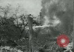 Image Libération l'Europe, 1944, de la seconde 60 séquences d'archives historiques vidéo 65675020675
